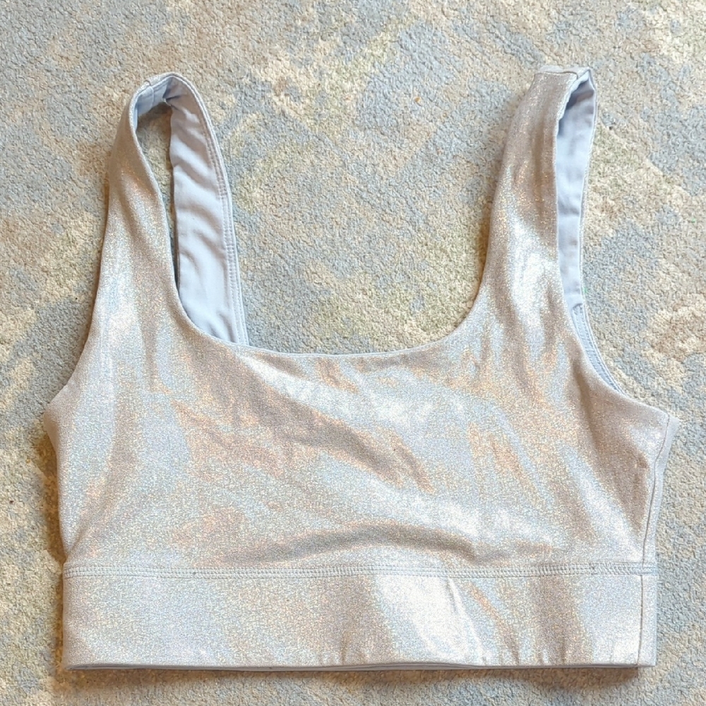 Fabletics Iridescent Silver Bra Sz XS